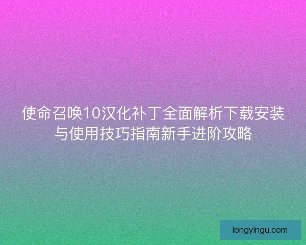 使命召唤10汉化补丁全面解析下载安装与使用技巧指南新手进阶攻略