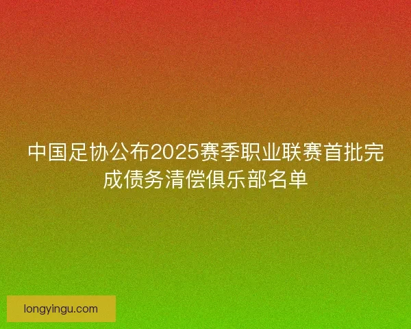 中国足协公布2025赛季职业联赛首批完成债务清偿俱乐部名单